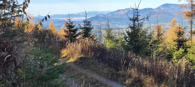 bald kann man auf eine Forststraße ausweichen, und genießt den Blick ,,visavis"- links die Eisenerzer Berge, rechts das Rennfeld und der  Hochlantsch... | Foto: I.Wozonig