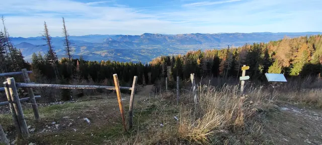 man mag gar nicht runtergehen... | Foto: I.Wozonig