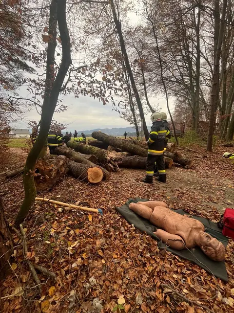Foto: Feuerwehren A05