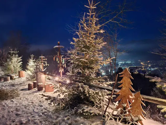 Dieses Bild vom Vorjahr weckt winterliche und weihnachtliche Gefühle.
