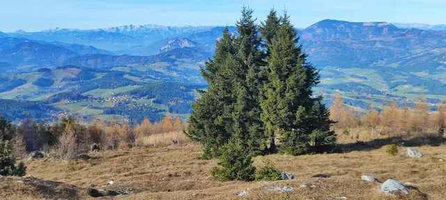 auch von hier ist der ,,schon bekannte Blick" einfach großartig... | Foto: I.Wozonig