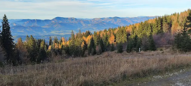 noch ein Abendgruß von der Sonne - und wir sagen ,,Auf Wiedersehen"... | Foto: I.Wozonig