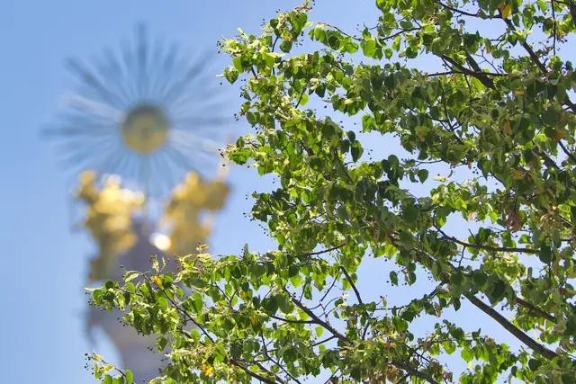 Aus dem Klimafonds wurden seit 2020 zahlreiche Klimaschutzprojekte von Büger:innen, Initiativen, Unternehmen und der Stadt selbst gefördert. Dafür stand pro Jahr eine Million Euro zur Verfügung. | Foto: MeinBezirk/Baumgartner