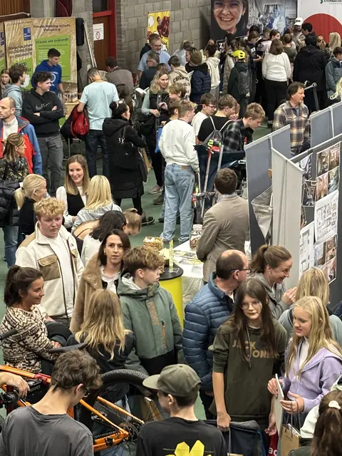 Foto: Nikolaus Kogler