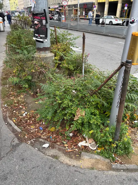 Foto: Antonio Šećerović/MeinBezirk