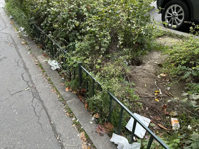 Foto: Antonio Šećerović/MeinBezirk