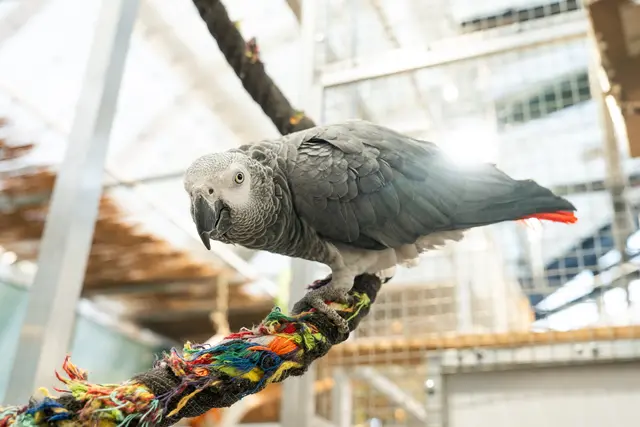 Foto: Valentina Marinelic/MeinBezirk