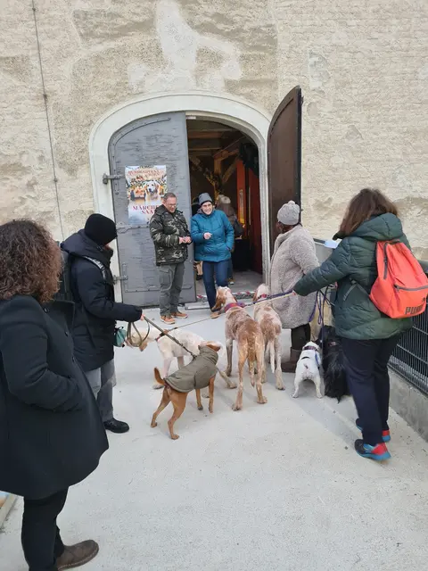 Foto:  Alexander Dobernig