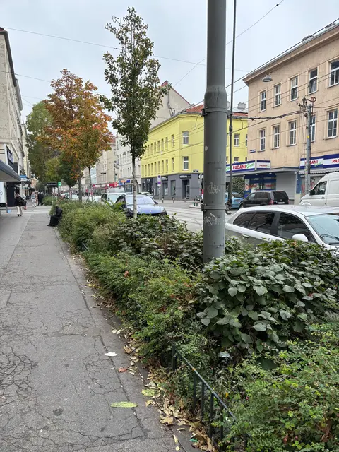 Foto: Antonio Šećerović/MeinBezirk