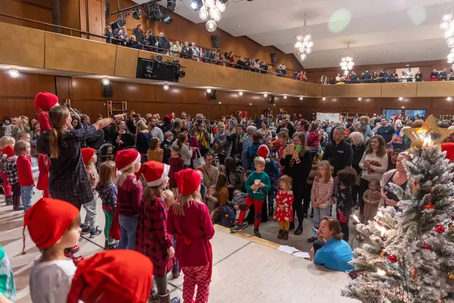 Der finnische Weihnachtsbasar lockt alljährlich zwischen 1.000 und 2.000 Besucherinnen und Besucher in die Babenbergerhalle. | Foto: Matthias Silveri