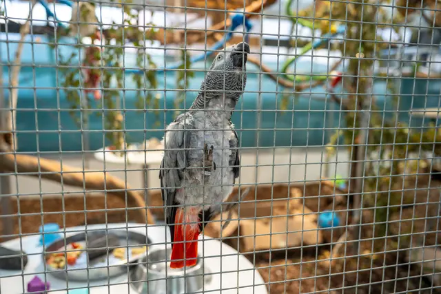 Foto: Valentina Marinelic/MeinBezirk