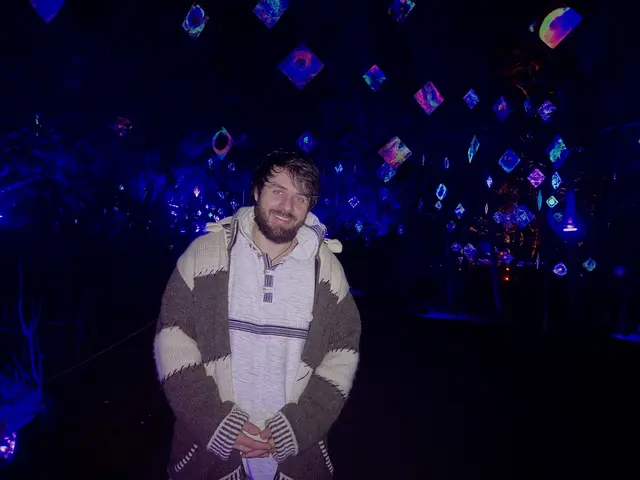 Der Lichtkünstler Tim Bo hängte 350 leuchtend bemalte Glasplatten in die Bäume. "Meine Kunst ist sehr organisch", sagt er dazu. 