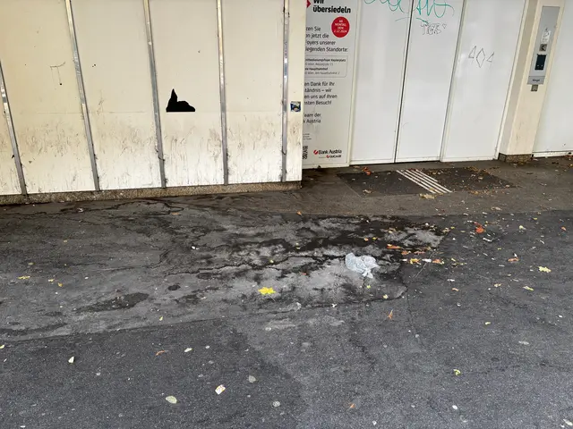 Foto: Antonio Šećerović/MeinBezirk