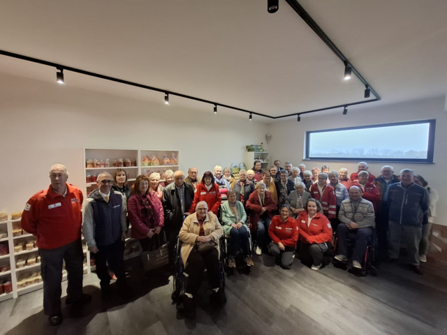 Die Gruppe beim gemeinsamen Ausflug | Foto: Rotes Kreuz Waidhofen/Thaya