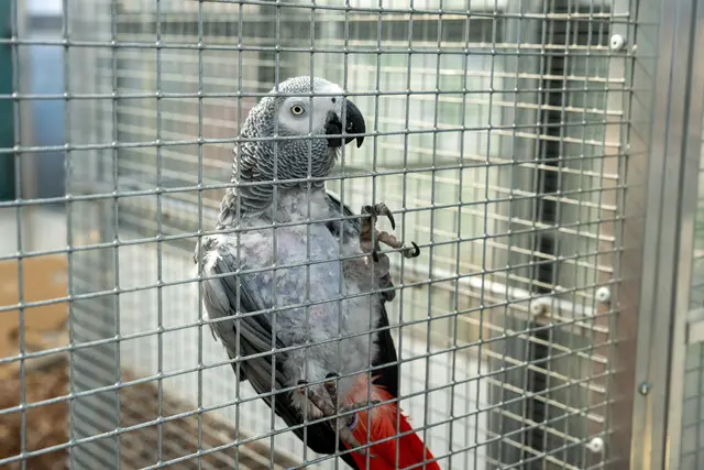 Foto: Valentina Marinelic/MeinBezirk