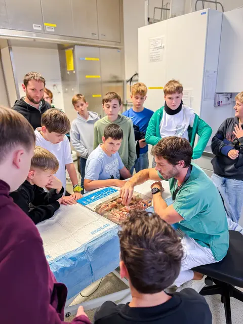 Der Boys’ Day ist eine großartige Gelegenheit, Berührungsängste abzubauen und Interesse für Gesundheitsberufe zu wecken. | Foto: Kages