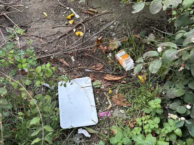 Ein Anrainer fragt sich, ob die MA 48 die Straßenreinigung zwischen Quellenplatz und Reumannplatz aufgegeben hat – so oft liege Müll herum. MeinBezirk hat nachgefragt. | Foto: Antonio Šećerović/MeinBezirk