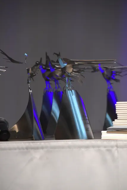 Die Adler-Trophäen wurden an die jungen Talente verliehen. | Foto: Johanna Bamberger