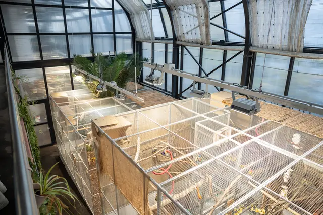 Foto: Valentina Marinelic/MeinBezirk