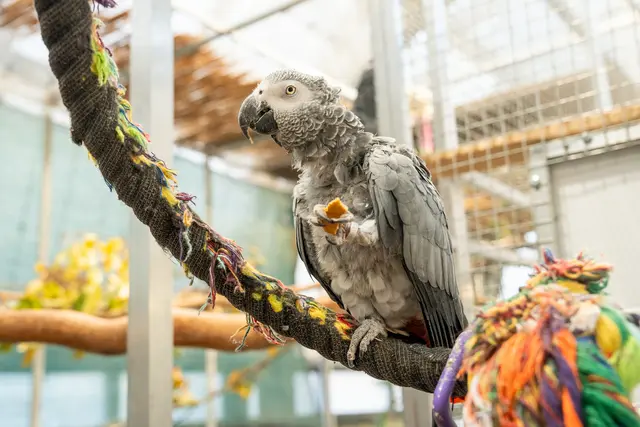 Foto: Valentina Marinelic/MeinBezirk