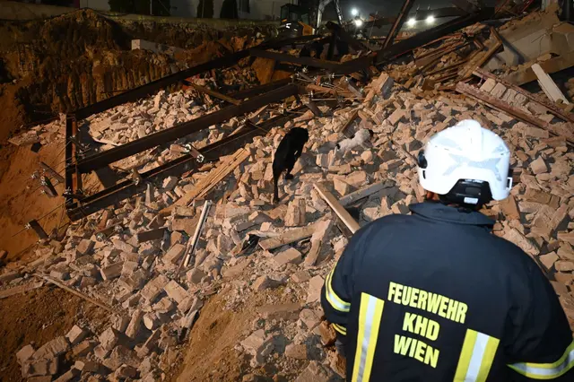 Rettungshunde auf der Suche nach möglichen Verschütteten. | Foto: Stadt Wien | Feuerwehr