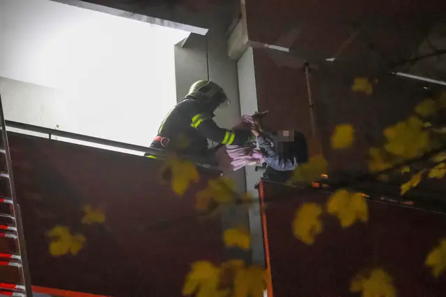 Polizei und Feuerwehr mussten in Wels Lichtenegg ausrücken, um einer Katzenbesitzerin ihren geliebten Stubentiger wiederzubringen. | Foto: laumat.at