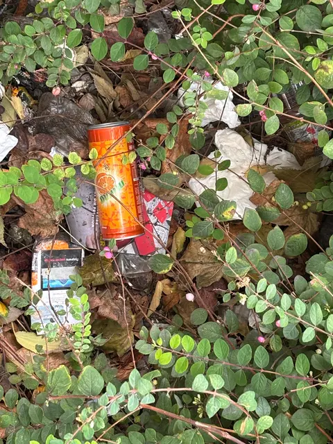 Dosen, Zigarettenschachteln, Taschentücher. Überall zwischen Gehsteig, Straße und in den Pflanzentrögen liege Müll herum, so der Anrainer. | Foto: Antonio Šećerović/MeinBezirk