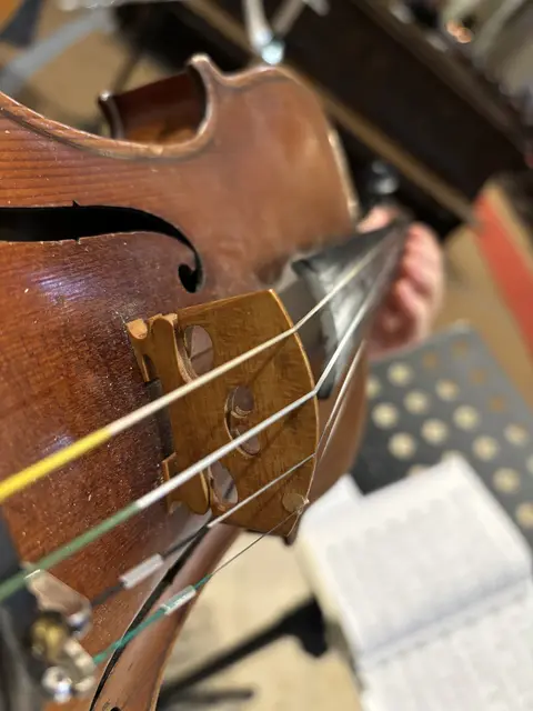 Violine spielen | Foto: Göls