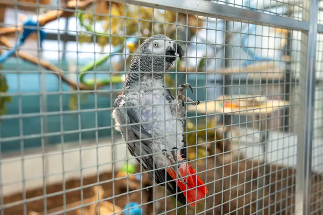 Foto: Valentina Marinelic/MeinBezirk