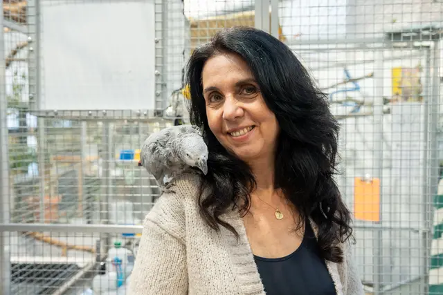 Foto: Valentina Marinelic/MeinBezirk