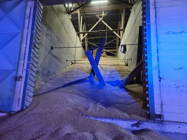 Foto: Freiwillige Feuerwehr Ernstbrunn