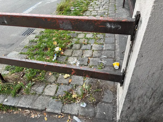 Foto: Antonio Šećerović/MeinBezirk