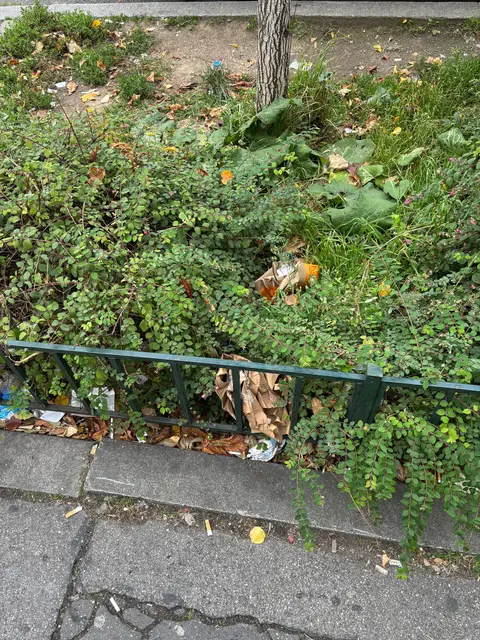 Foto: Antonio Šećerović/MeinBezirk