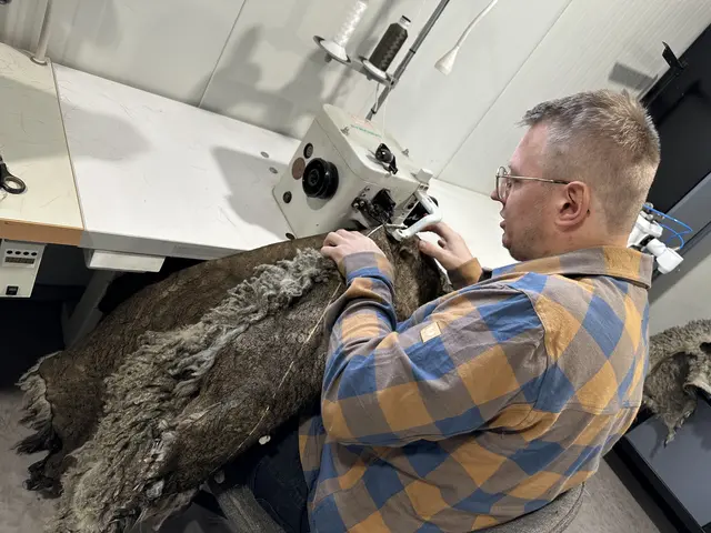 Die Näharbeiten sowie alle weiteren Verarbeitungsschritte hat sich Julian Winkler selbst angeeignet. | Foto: MeinBezirk/Christoph Schneeberger