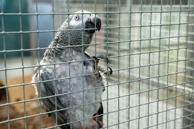 Foto: Valentina Marinelic/MeinBezirk