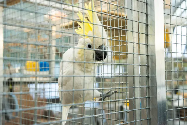 Foto: Valentina Marinelic/MeinBezirk