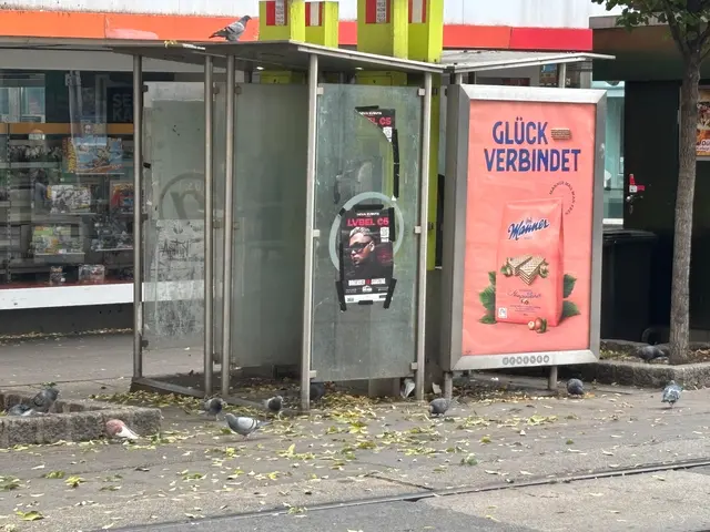 Foto: Antonio Šećerović/MeinBezirk