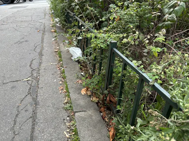 Foto: Antonio Šećerović/MeinBezirk