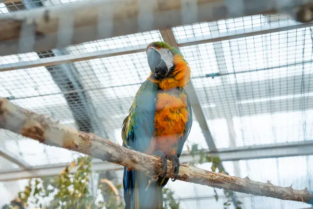 Foto: Valentina Marinelic/MeinBezirk