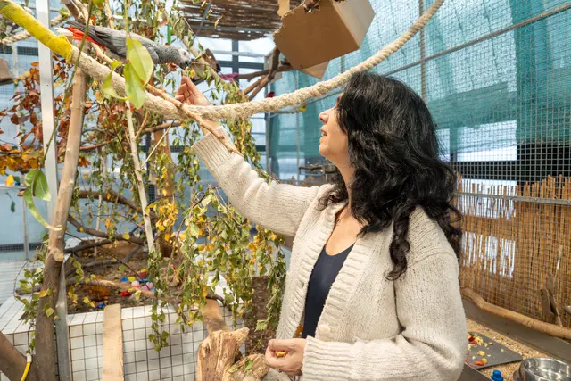 Foto: Valentina Marinelic/MeinBezirk