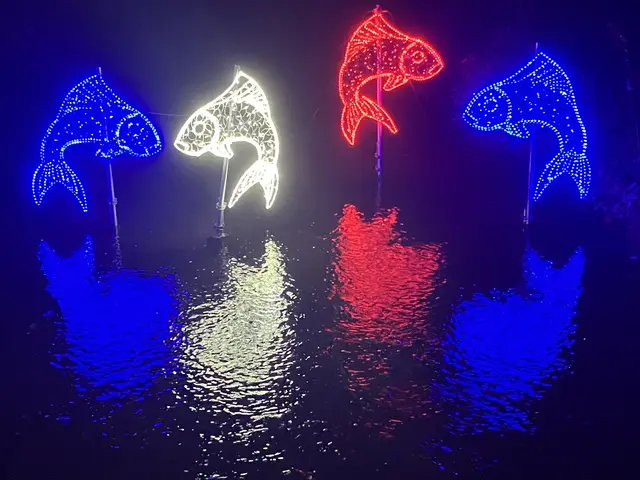 Erster großer Hingucker am Parcours: die leuchtenden Fische