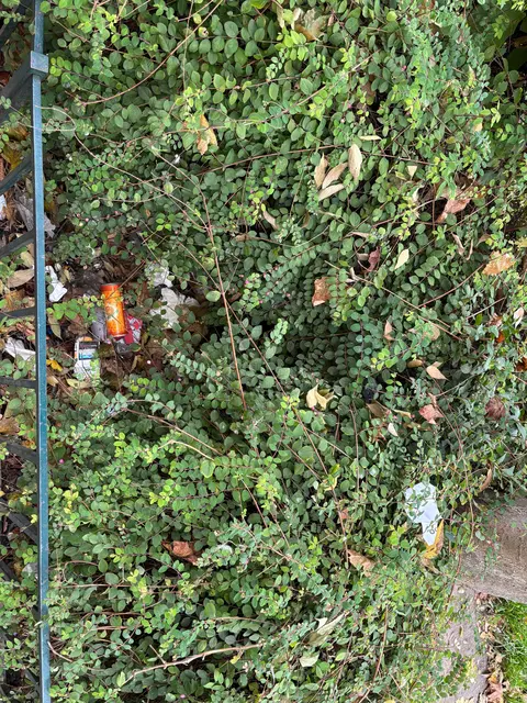 Foto: Antonio Šećerović/MeinBezirk