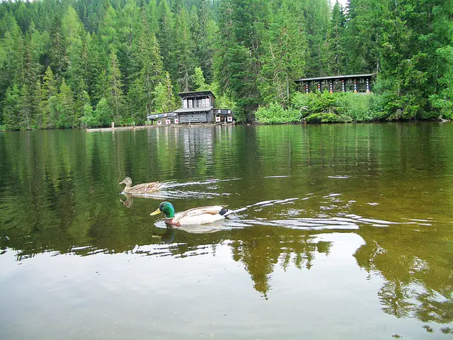 (Archivfoto) Prebersee im Lungau, in der Marktgemeinde Tamsweg. | Foto: pjw