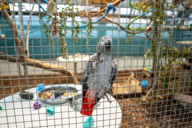 Foto: Valentina Marinelic/MeinBezirk