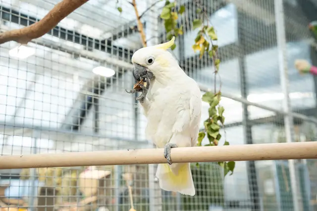 Foto: Valentina Marinelic/MeinBezirk