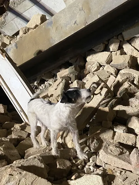 Foto: Stadt Wien | Feuerwehr