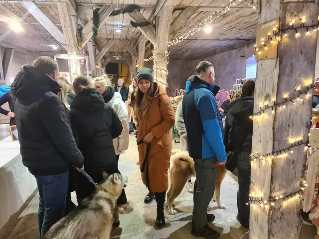 Der Hundeadvent findet wie geplant im Schloss Neugebäude statt. | Foto:  Alexander Dobernig