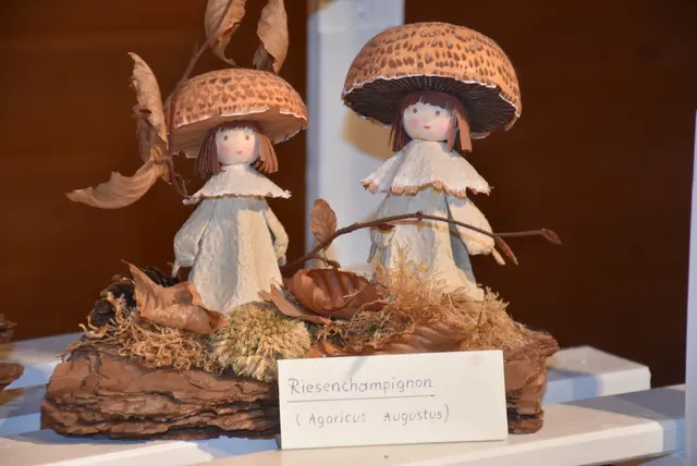 Willkommen bei den Pilzen! Mit einer Pilz-Wanderung und einem Ausstellungsbesuch „Willkommen bei den Pilzen“ verabschiedete sich das Museum in Altenburg für diese Saison. | Foto: Zinterhof