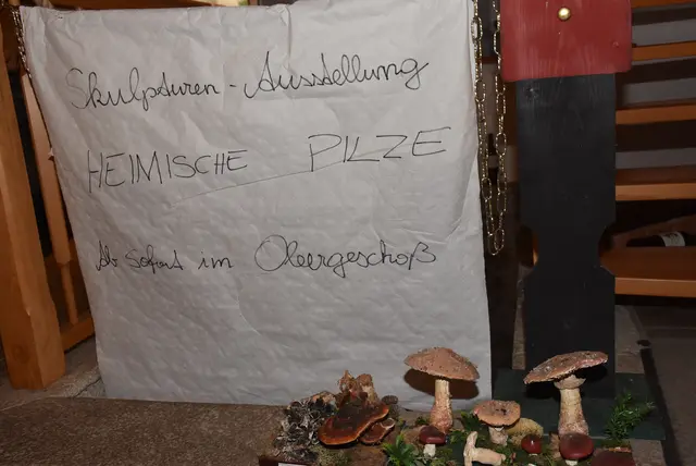 Willkommen bei den Pilzen! Mit einer Pilz-Wanderung und einem Ausstellungsbesuch „Willkommen bei den Pilzen“ verabschiedete sich das Museum in Altenburg für diese Saison. | Foto: Zinterhof