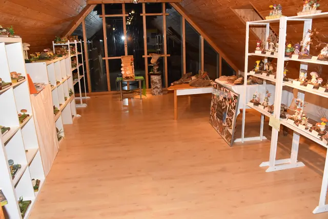 Willkommen bei den Pilzen! Mit einer Pilz-Wanderung und einem Ausstellungsbesuch „Willkommen bei den Pilzen“ verabschiedete sich das Museum in Altenburg für diese Saison. | Foto: Zinterhof